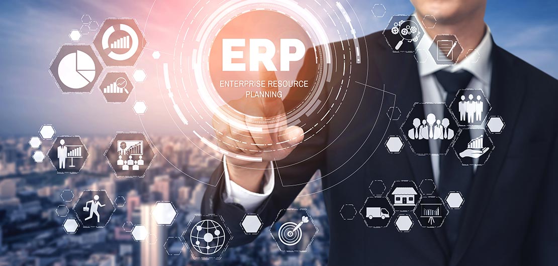 erp y auditoria