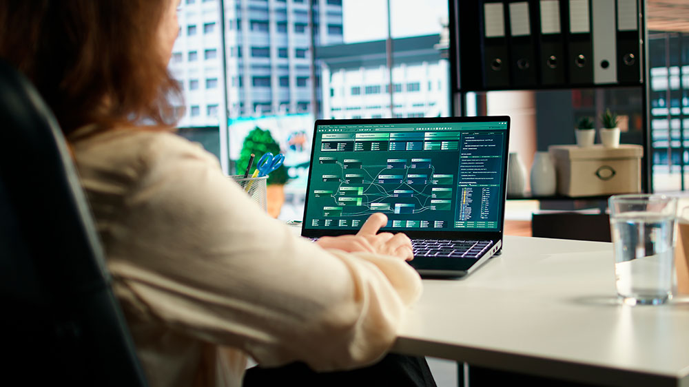 Software ERP Español para Distribución: Ventajas de la ‘Marca España’